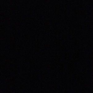 Meet your Posher, Landon